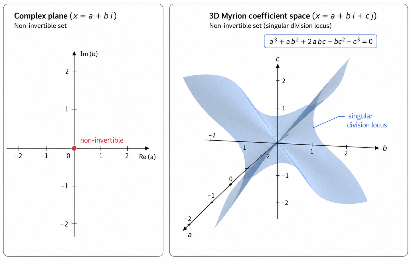 The singular division locus